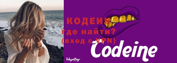 хмурый Алзамай