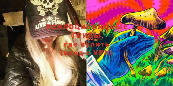 хмурый Алзамай