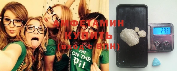 хмурый Алзамай